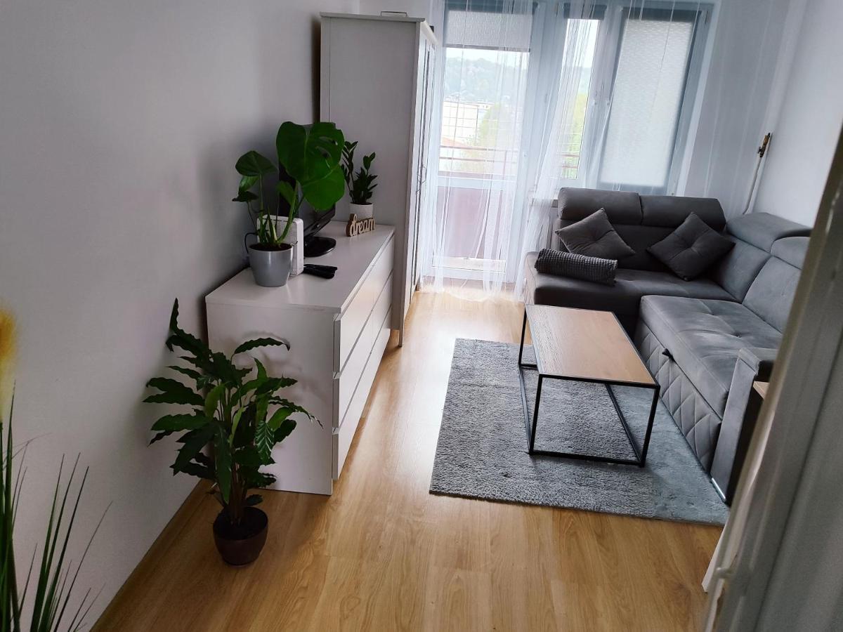 Apartament Sweet Dreams Lejlighed Sanok Eksteriør billede